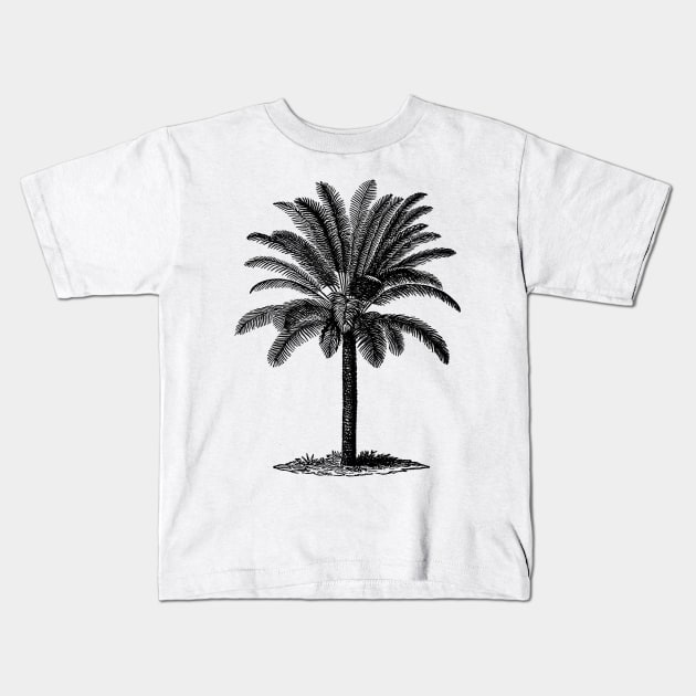 Vintage Palm Tree Kids T-Shirt by Vintage Sketches
